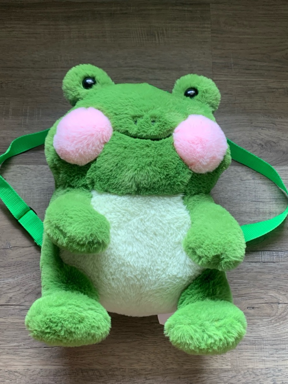 14 inch Frog Backpack with Adjustable Canvas Straps